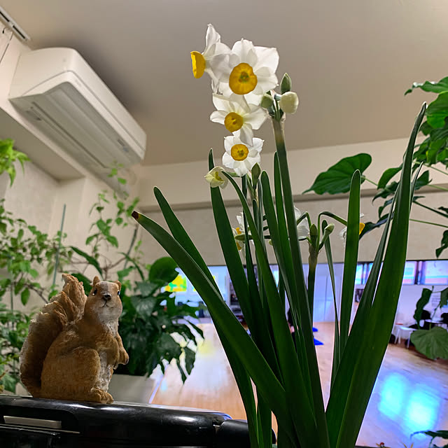 Aqettyさんの部屋