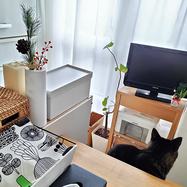 hihaさんの実例写真