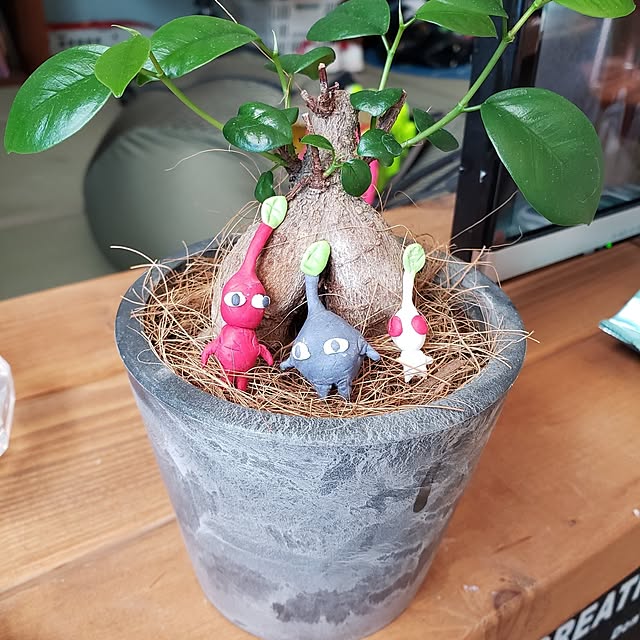 momo_625さんの実例写真