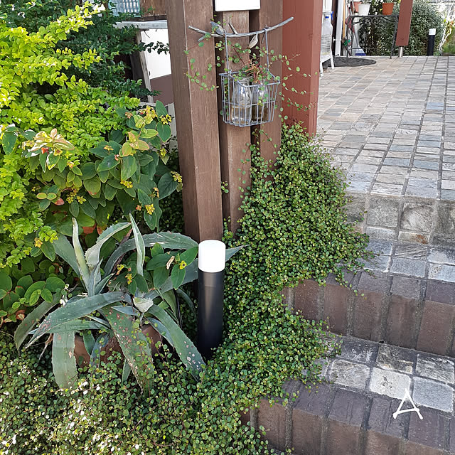 Miponappoさんの実例写真