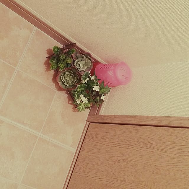Sakuraさんの実例写真