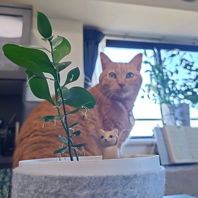 NOAHさんの実例写真