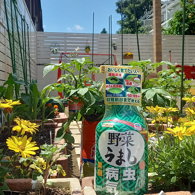 Taku38さんの実例写真