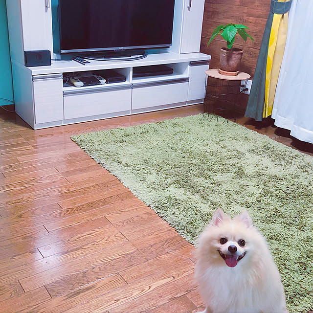 hoshimamaさんの実例写真