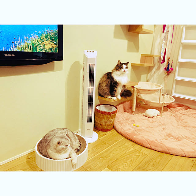 sakura_171220さんの実例写真