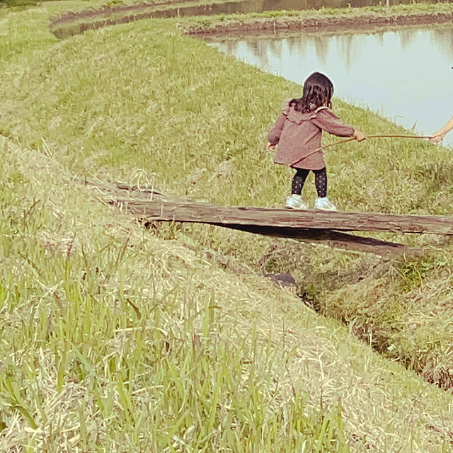 nekosamaさんの実例写真