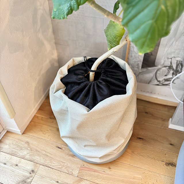 Minteaさんの部屋