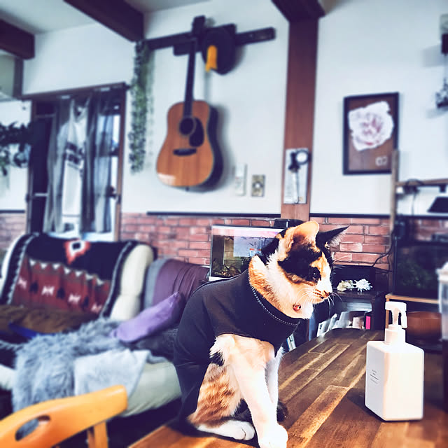 maroさんの実例写真