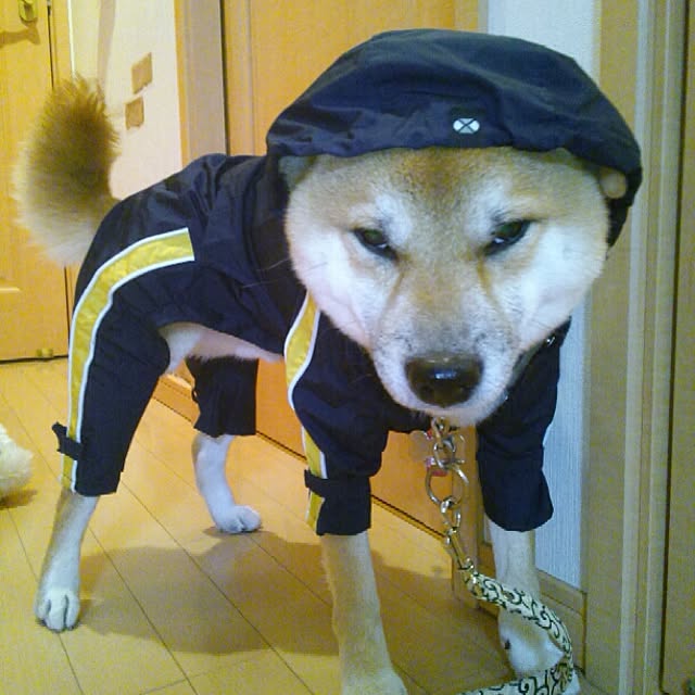 kotaさんの実例写真