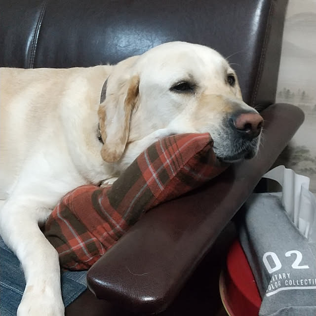 montomoさんの実例写真