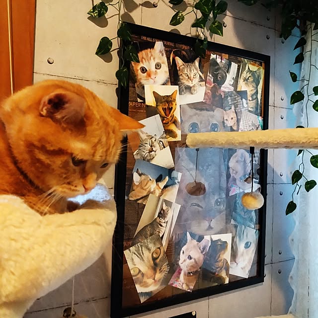 runaさんの部屋