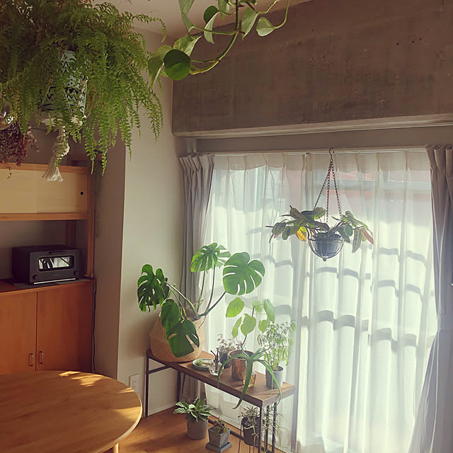 tomatoさんの実例写真