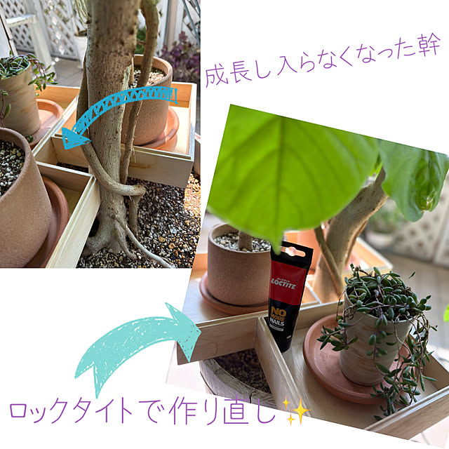 momo_sanさんの実例写真
