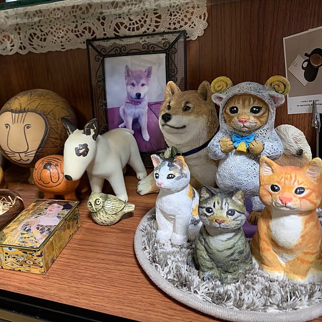 kotatsuさんの実例写真