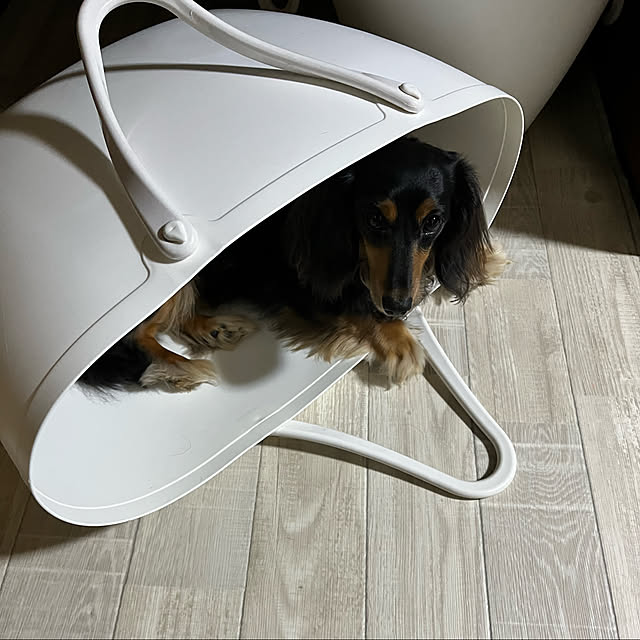 Rujuさんの実例写真