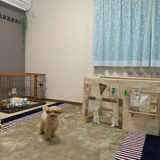 Samさんの実例写真