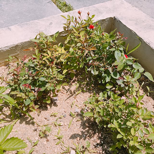 mtk_homeさんの実例写真