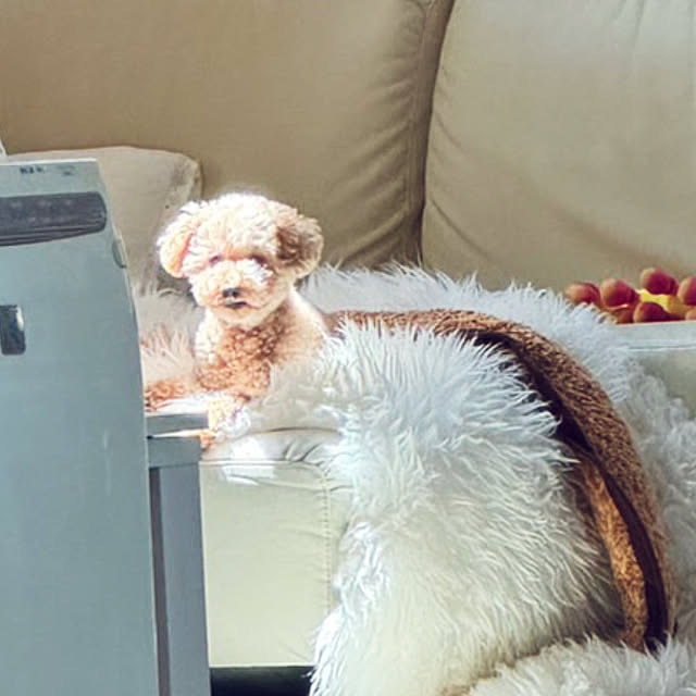 Momoさんの実例写真