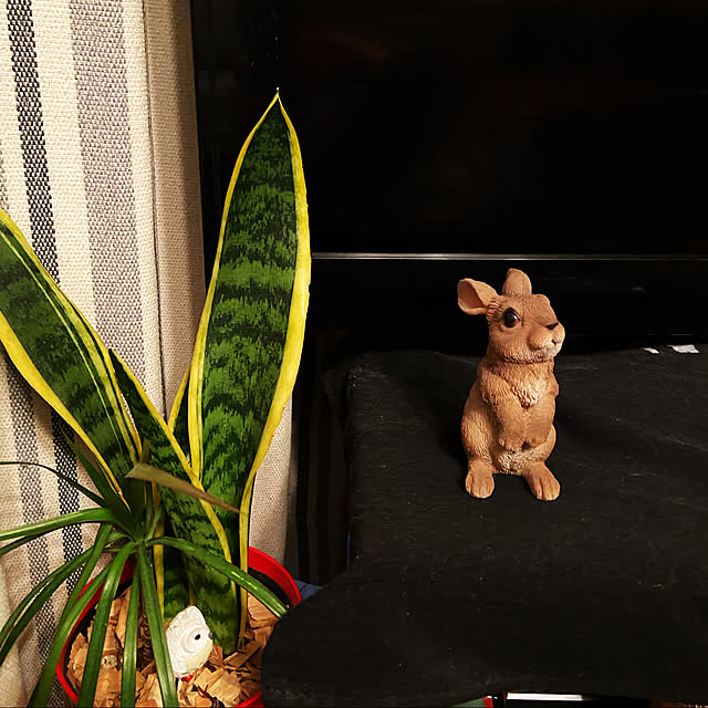 aimina0107さんの実例写真