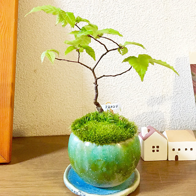 totoroさんの実例写真