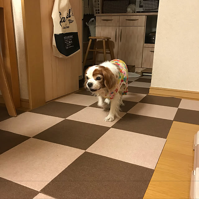 canmilmamaさんの実例写真