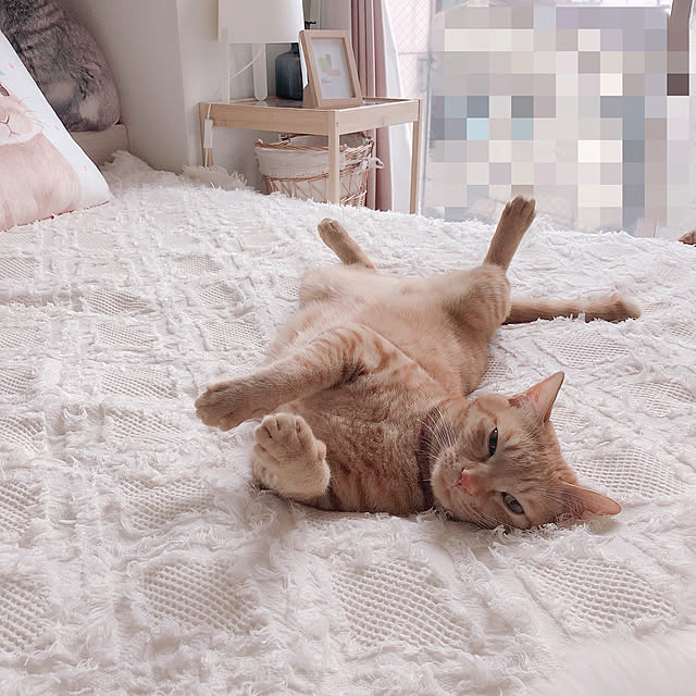 tina_sa_0さんの実例写真