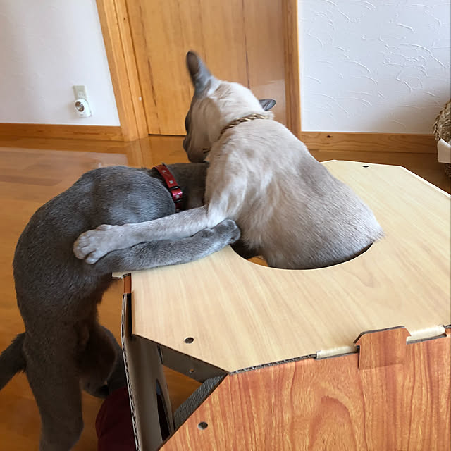 mujinekoさんの実例写真