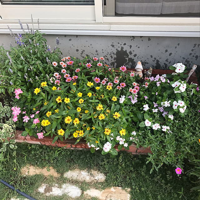 marikoさんの実例写真
