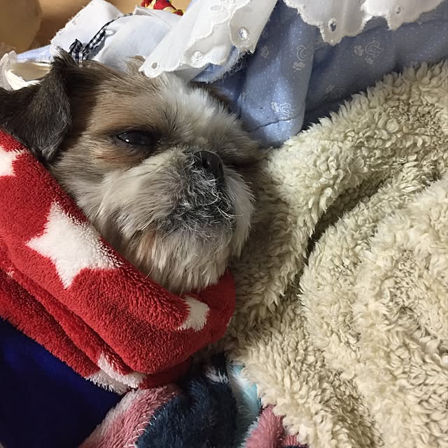 emiさんの実例写真