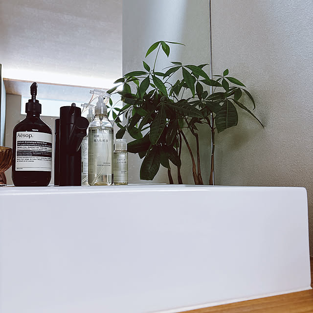 tomatoさんの部屋