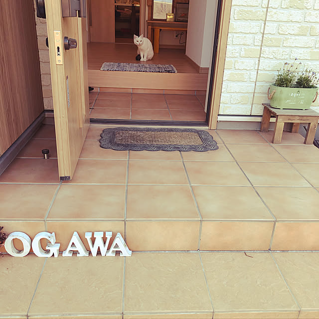 pingachaaaさんの実例写真