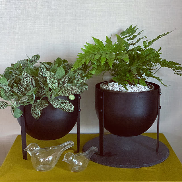 rinrinさんの実例写真