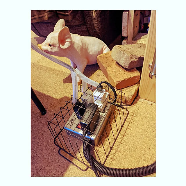 GINさんの実例写真