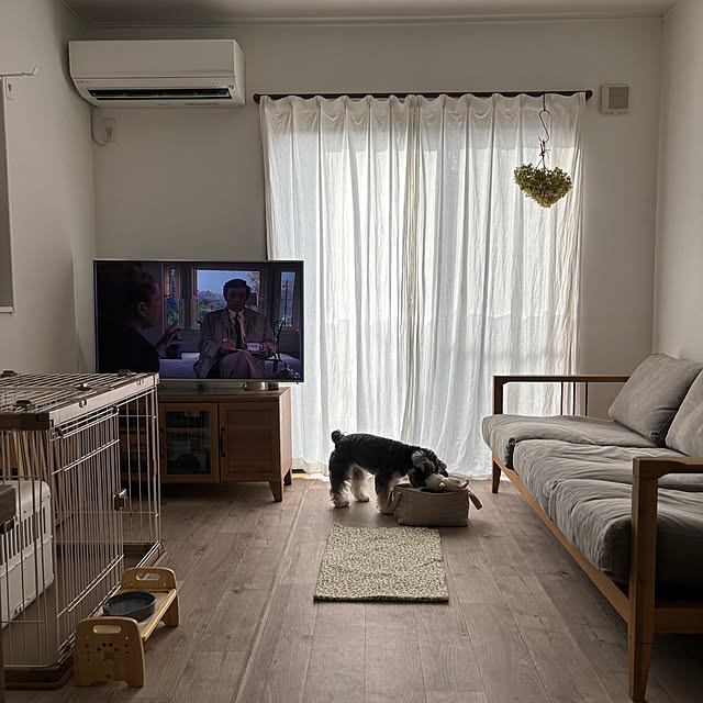 moana_no_ieさんの実例写真