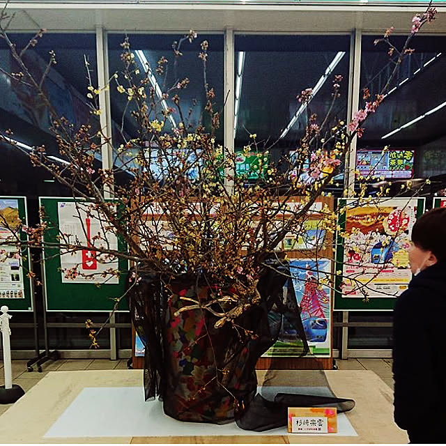 実例写真