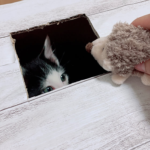harukaさんの実例写真