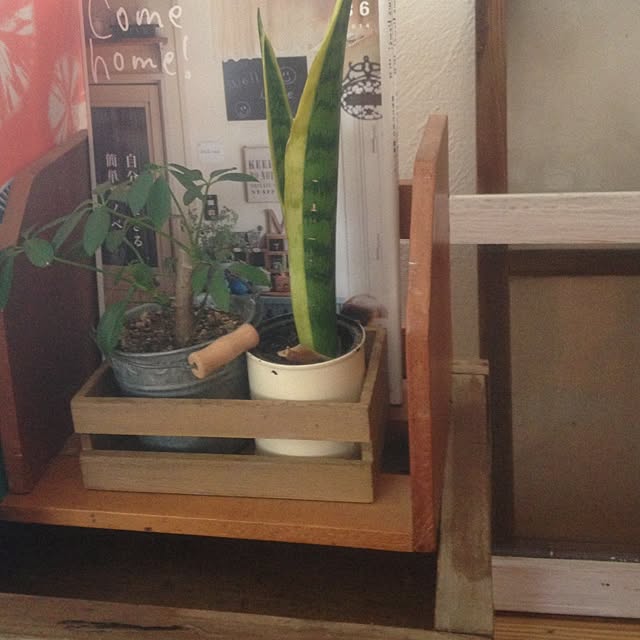 izuhanさんの実例写真