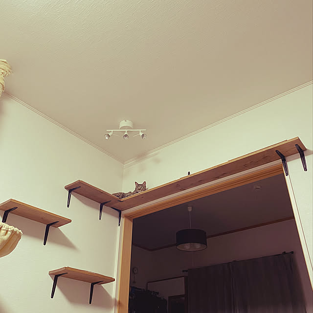yoshieさんの実例写真