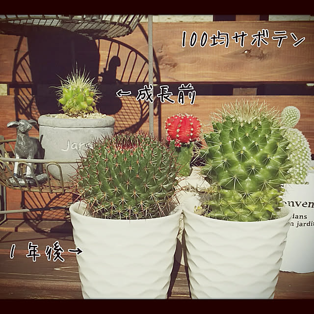 millsukeさんの実例写真