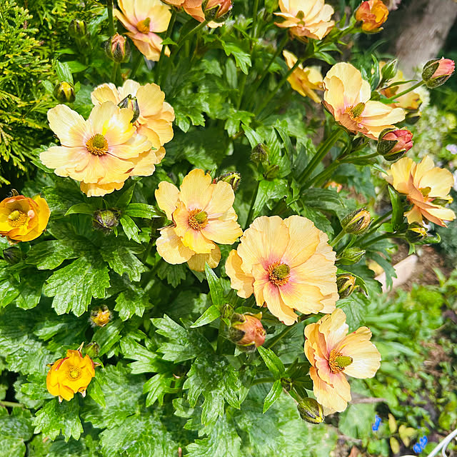 sunabaさんの部屋