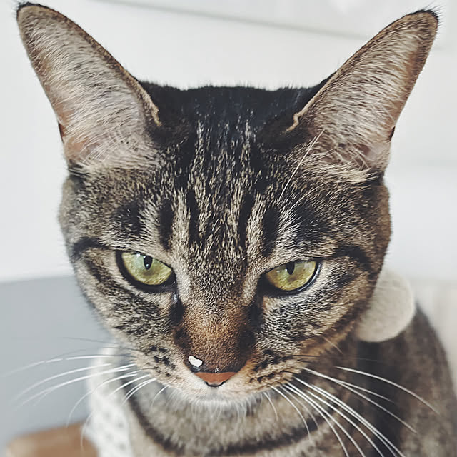 oliveさんの部屋