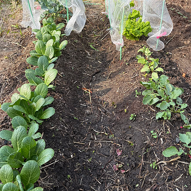 mozukuさんの実例写真