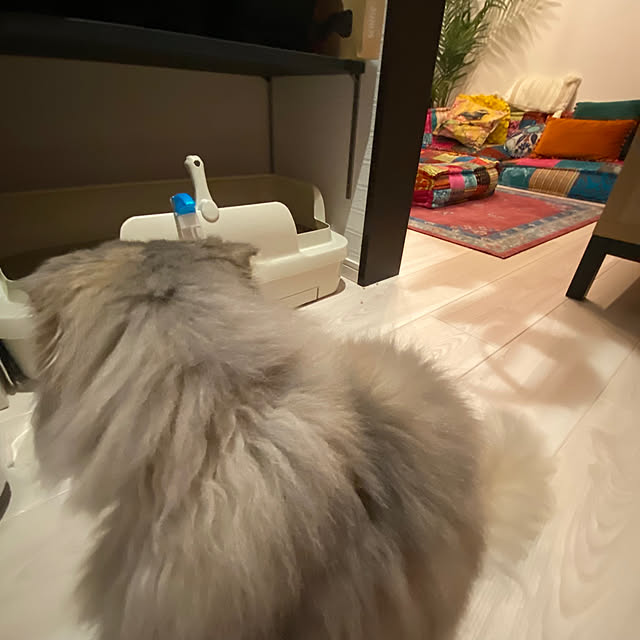 Mahoさんの部屋