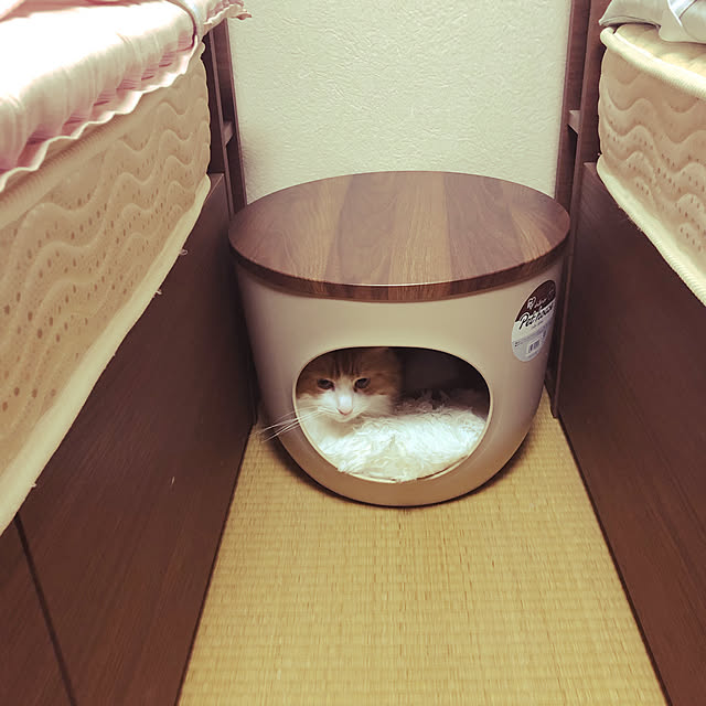 uchidaizuさんの実例写真