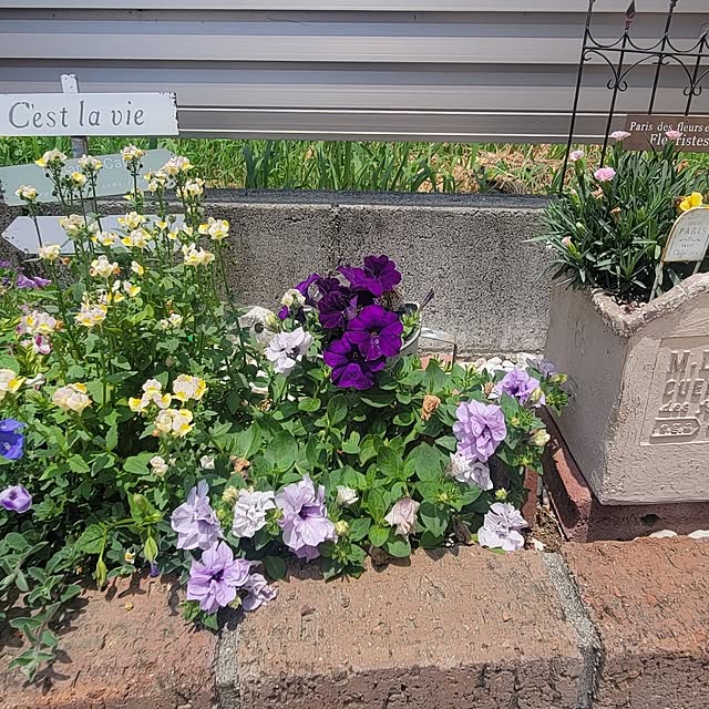 部屋全体/いつもいいねありがとうございます♡/カメラマークいっぱい/小さいおうち/サボり癖がすごい...などのインテリア実例 - 2025-07-06 12:19:50
