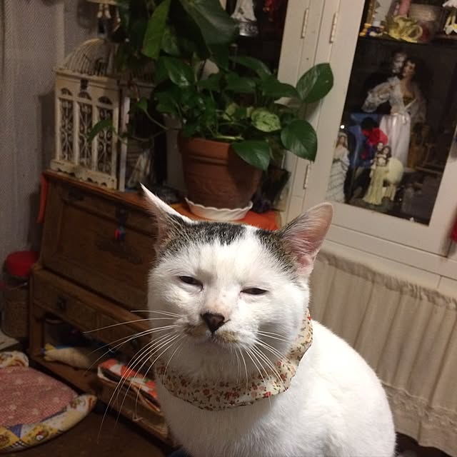 Masamiさんの実例写真