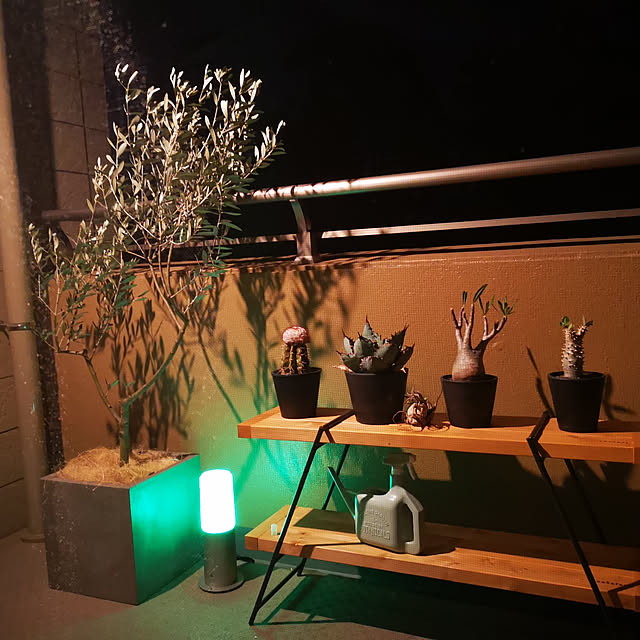 thousandleaf102さんの実例写真
