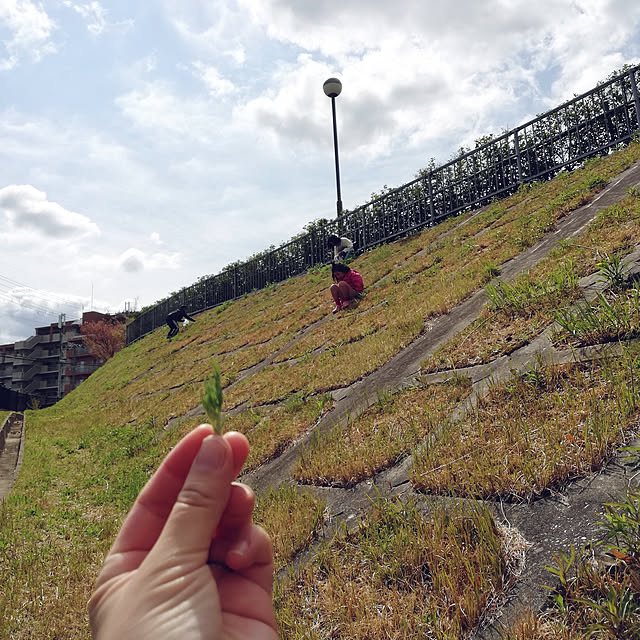 実例写真