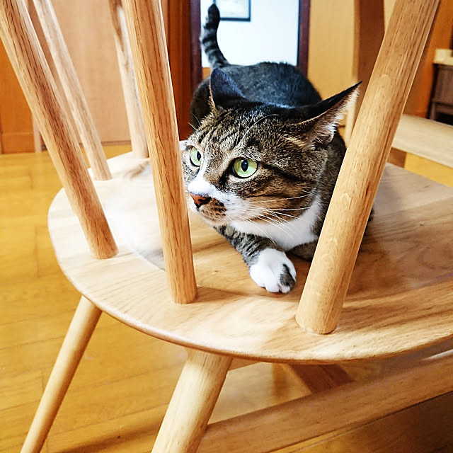 nachiさんの実例写真