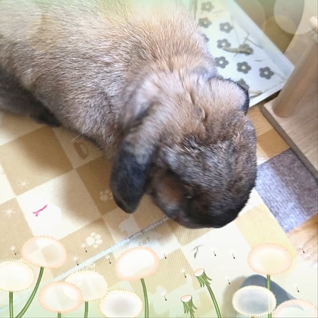 mariaさんの実例写真